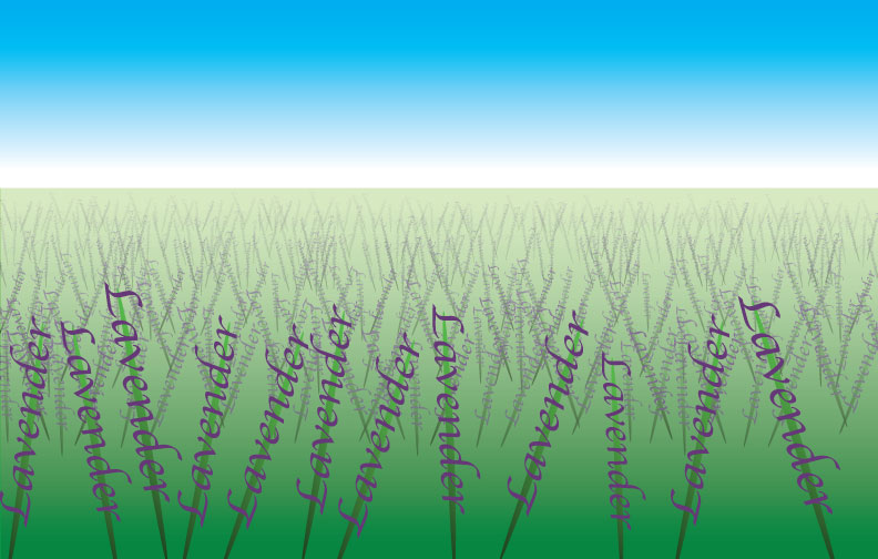 Typography & Lavender